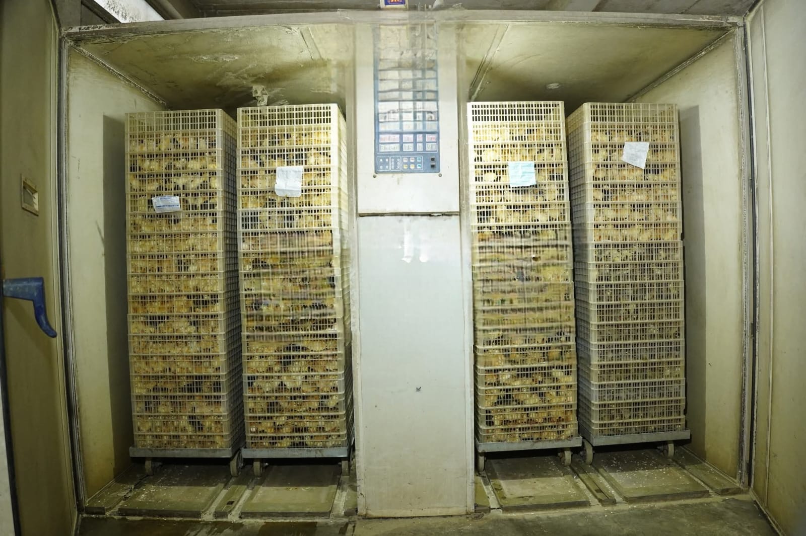 Bondhu Agro & Hatcheries